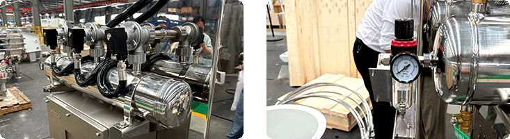 Pulse Backblowing System