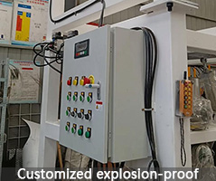 Customizable Explosion-Proof Cabinet - Bulk Bag Discharge System Accessories